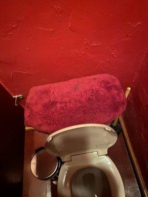 Carpet toilet