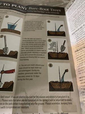 Guide for planting