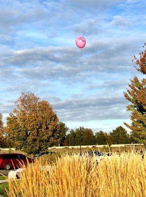 Eco friendly balloon release (Small latex balloons and short sisal strings)