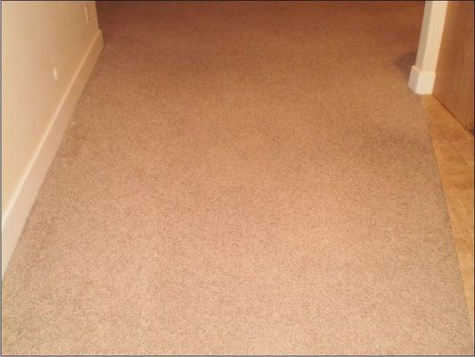 Carpet After Cleaning