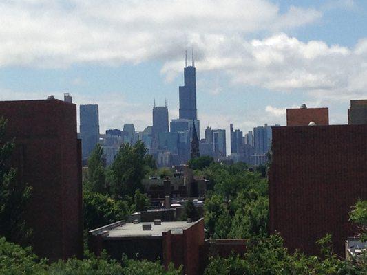 view from the roof deck at 525 W Arlington Place