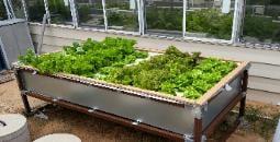 Portable aquaponics systems that anyone can buy.