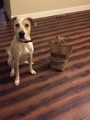 Max with a 10lb bag of Whitefish & Duck.