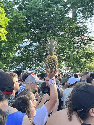 We found the pineapple dude!