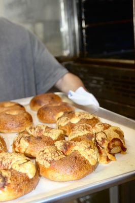 Parm and Plain Bagels