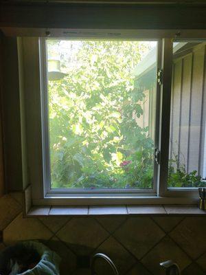 M&J Glass also replaced this "foggy" kitchen window, leaving existing frame & slider.