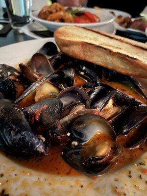 Chilled New Zealand Mussels