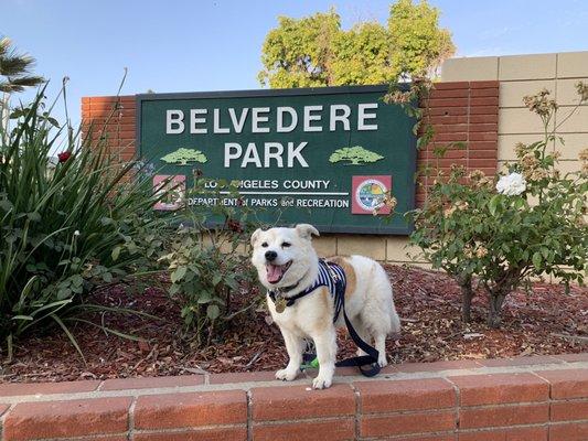 Belvedere Community Regional Park