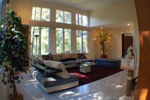 Modern Living Room