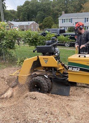 Company owner grinding a stump