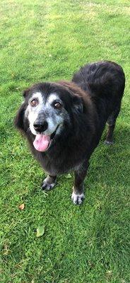 Old man Remy, loving his new haircut!