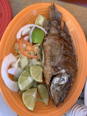 Tilapia which our server mentioned they were embarrassed of due to it being small and not their usual size.