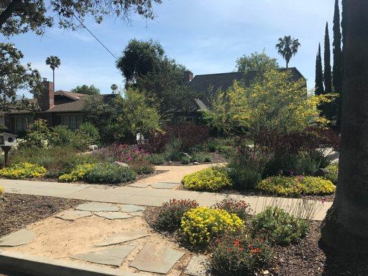 Our front yard landscape in May, a year after installation.