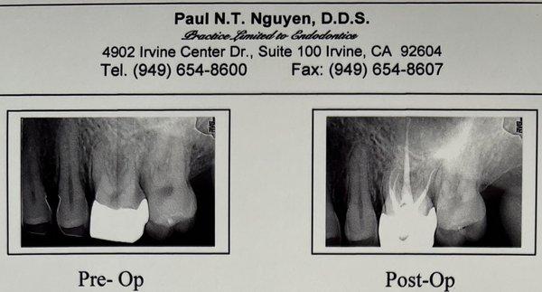 Paul N T Nguyen, DDS