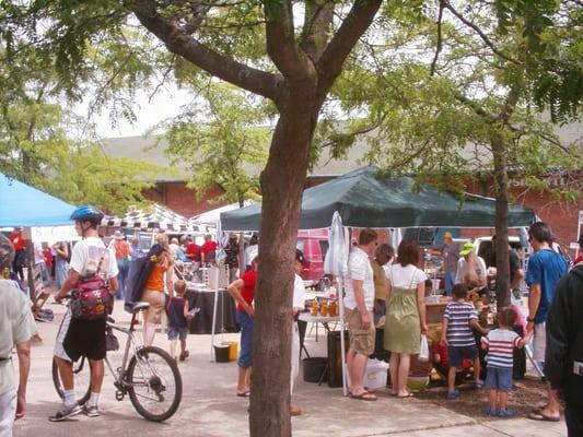 Ypsilanti Depot Town Farmers Market on the Plaza 2009