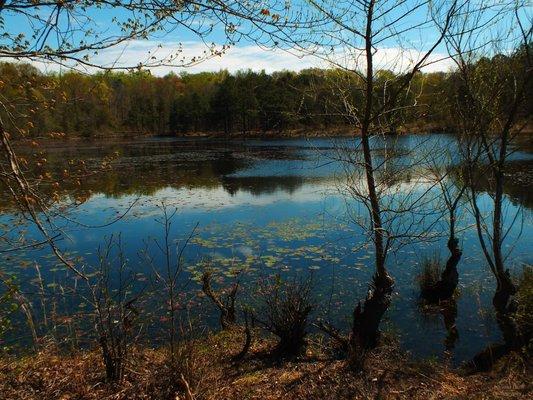 A view of Duck Cove Pond.