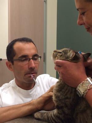 Dr. Kritzinger and the amazing Keri Basher blood testing a newly adopted feral named Bruno