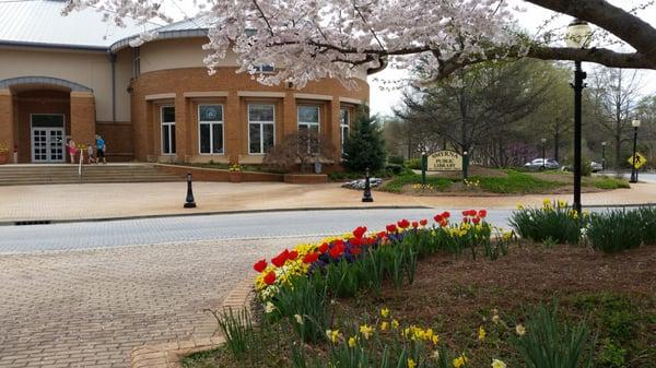 Smyrna Public Library