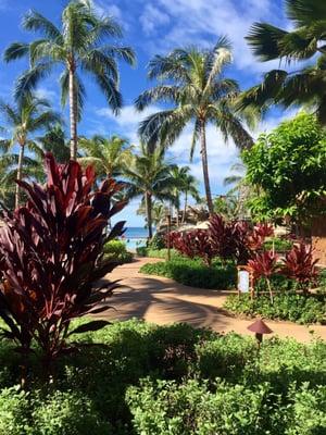 Sept 2015 :: gorgeous breakfast view from the patio seating area at Ulu Cafe