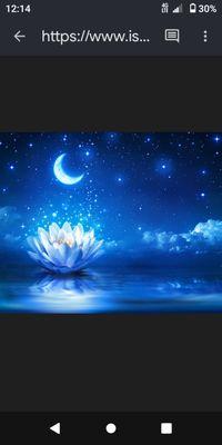 Blue lotus