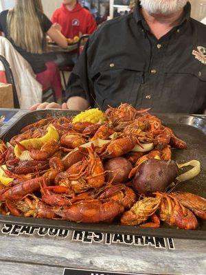 Awesome crawfish.