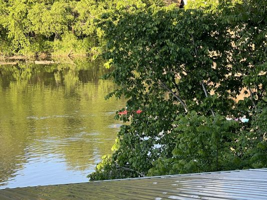 View from outdoor dining