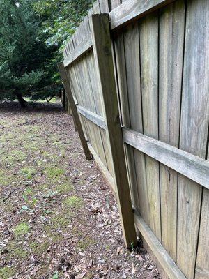 Backyard fence posts