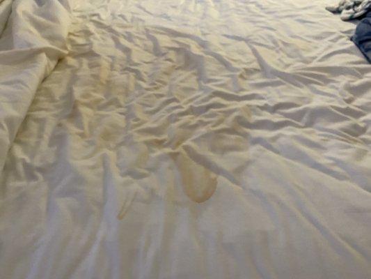 Stained sheets. The point of white sheets in a hotel is to bleach them when this happens.