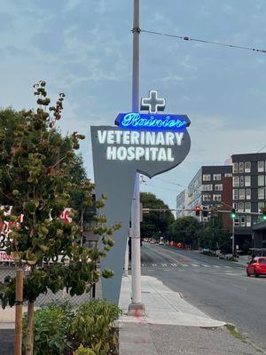 Newly restored, vintage neon Rainier Veterinary Hospital sign.