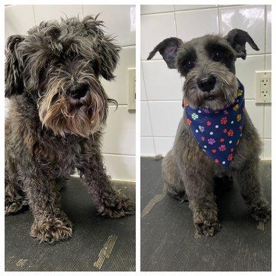 Before/after grooming