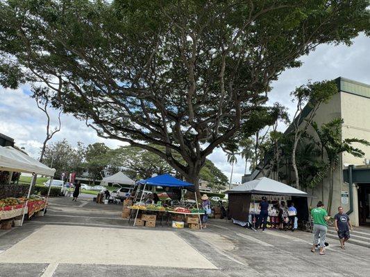 Friday farmers market behind courtyard 1-26-24