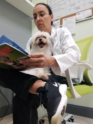 This is how happy your pets will be with our loving Vet Dr. Delbene.