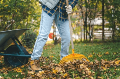 Yard Maintenance