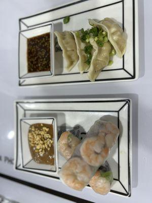 Shrimps spring rolls and chicken dumplings