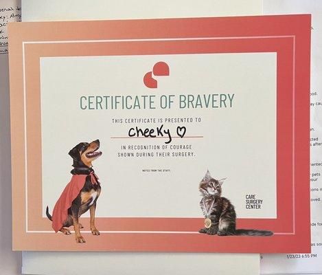 The "certificate for bravery"!  Now how awesome is that?