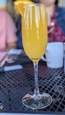 Mimosa