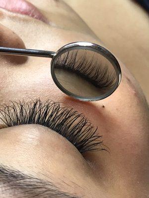 Hybrid lash