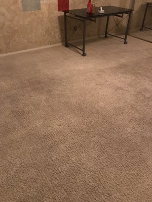 FreeSpace Carpet And Flooring Cleaners