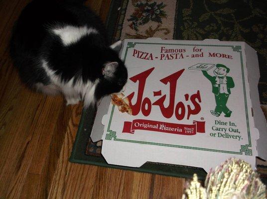 even my cat loves this pie