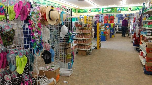 Dollar Tree in Bismarck ND