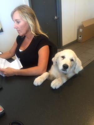 Our dog Baloo likes to greet the customers!