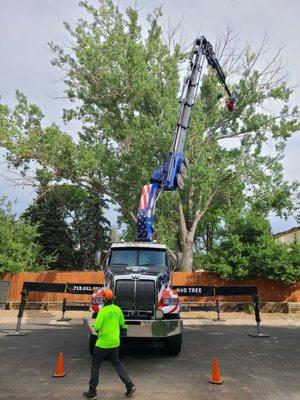 Summit Tree Care