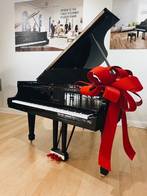 Steinway Piano Gallery