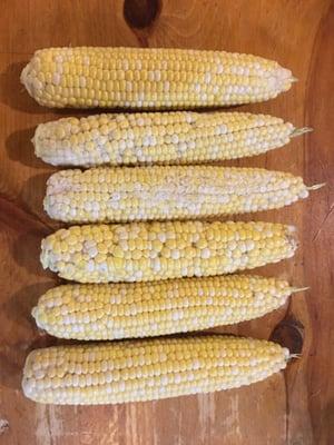 Aug corn bought at MB in Sagamore. Most of my experiences have been good there, but this is one where there is low value (quality/price).