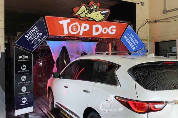 Top Dog Express - Oviedo