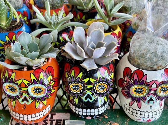 Sugar Skulls