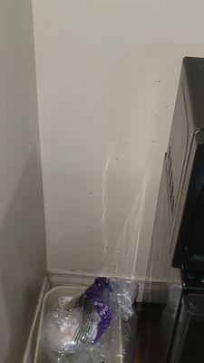 Stains all over the wall behind the mini fridge