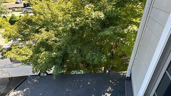 Try and avoid getting your gutters clogged by trimming the tree's around! Call now for a free estimate!!!