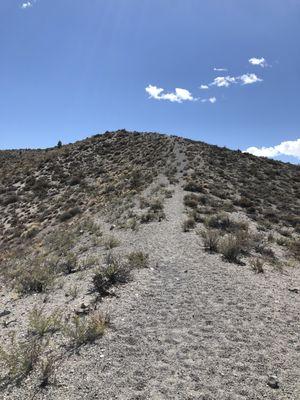 Panum Crater