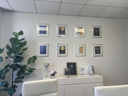 Awards on the wall of their office